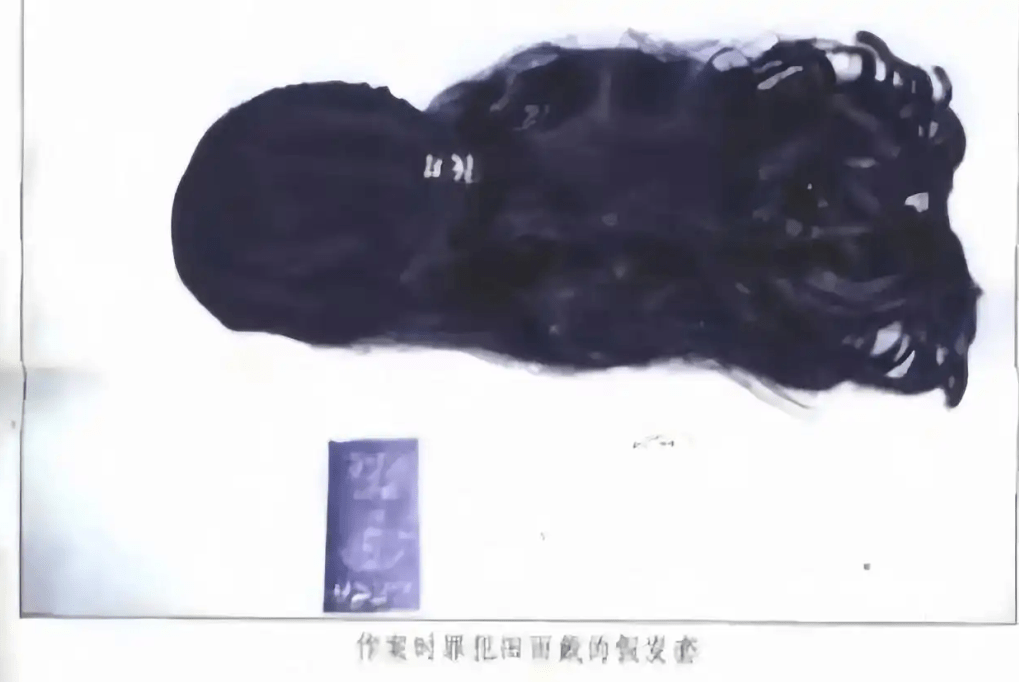 匪徒作案时戴的假发。