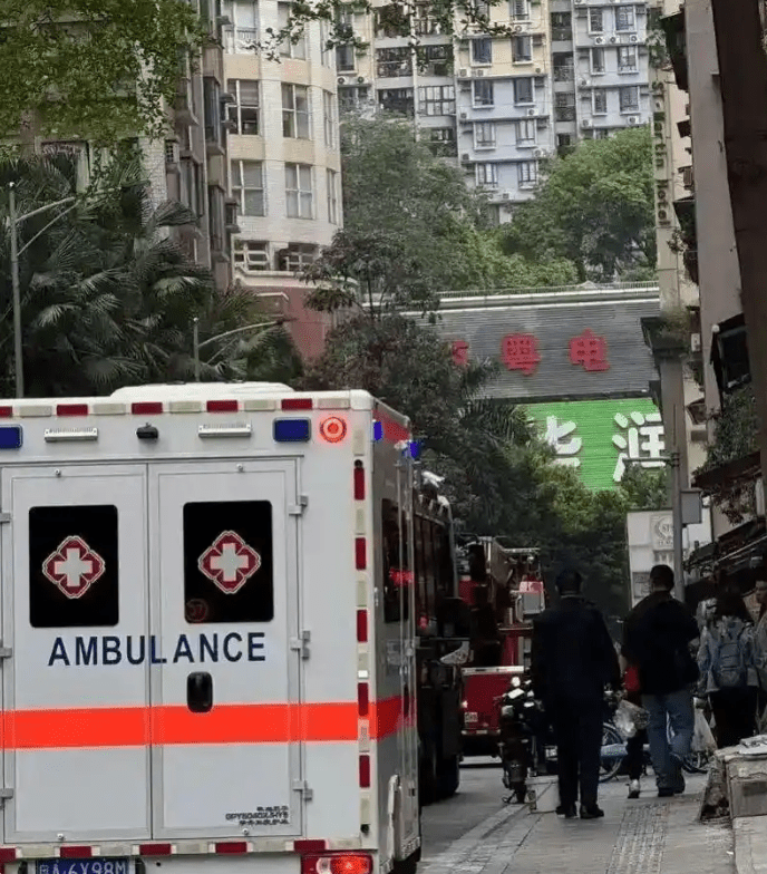 涉事小区。 南方都市报