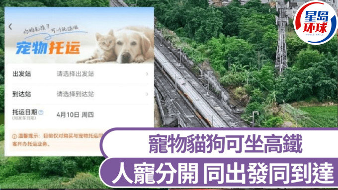 宠物托运