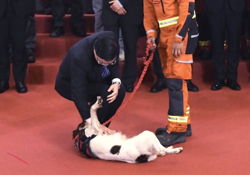 李家超抚摸搜救犬的头部。 李家超抚摸搜救犬的头部。