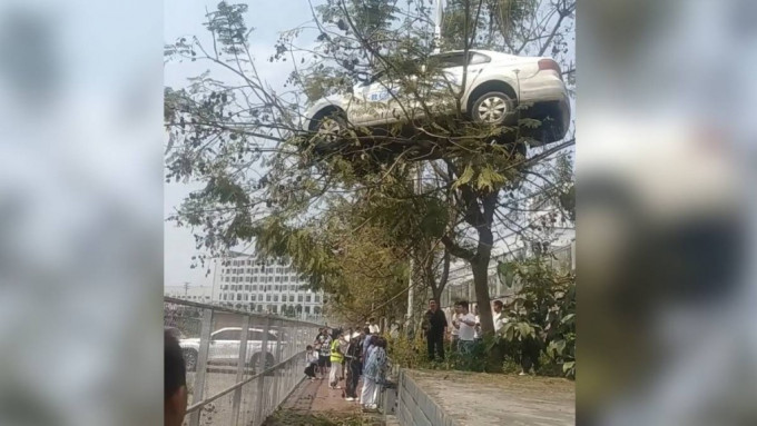 车辆被吊上树顶
