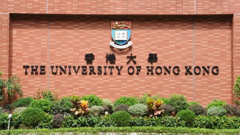 港大