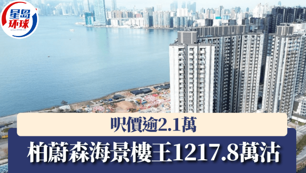 柏蔚森海景楼王1217.8万沽