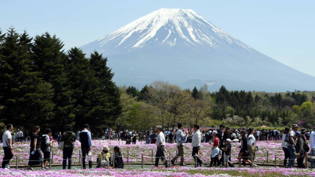游客在富士山下观赏樱花。新华社