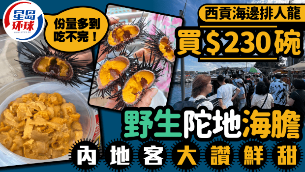 海胆
