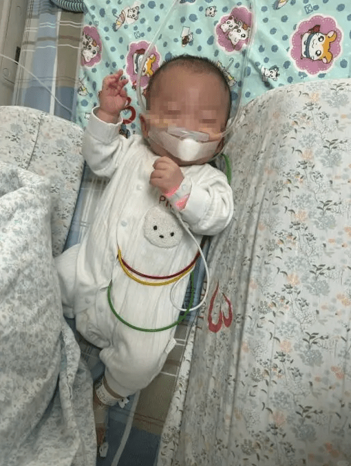 婴幼儿 婴幼儿