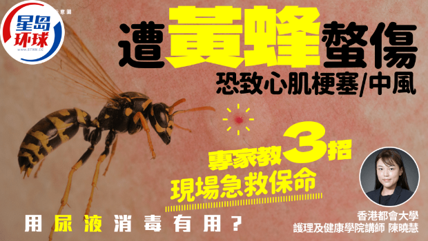 遭黄蜂螫伤恐致心肌梗塞或中风