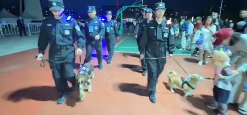 人气警犬福仔当日“犯案”过程。