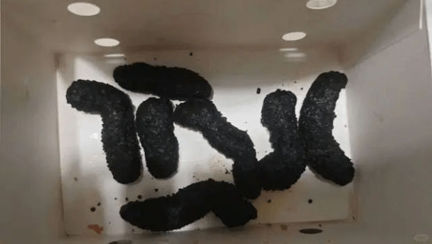 德克士新品“黑金小酥肉”外观引争议 德克士新品“黑金小酥肉”外观引争议