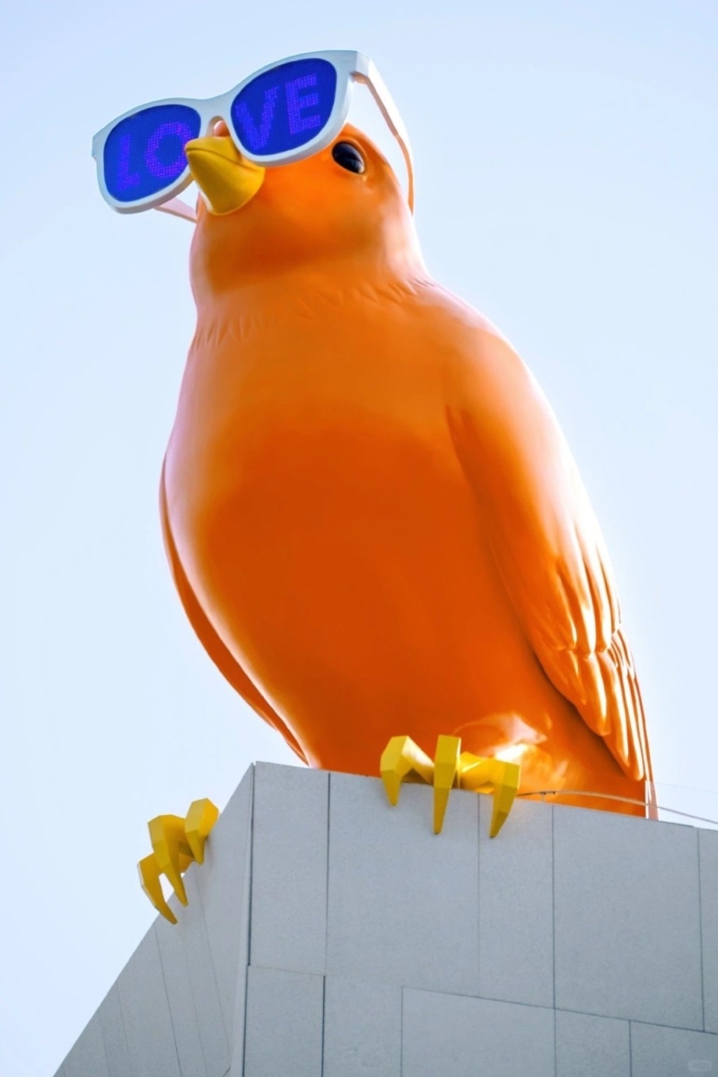 CUICUI CUICUI