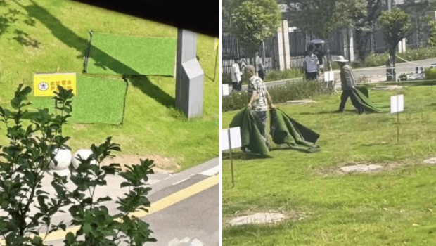 重庆大学生误堕校内化粪池亡，有学生指该化粪池没有井盖，仅铺木板草皮。