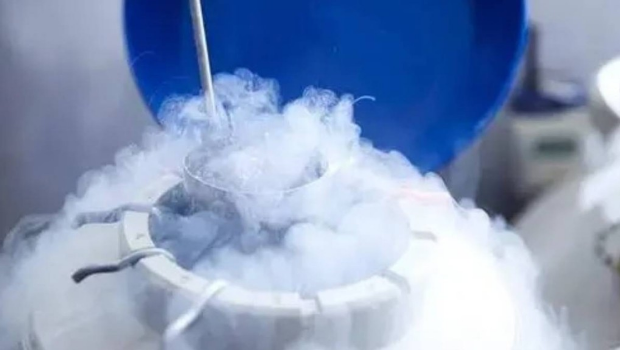 法院指，体外冷冻胚胎在符合特定条件下，也算是死者遗腹子。