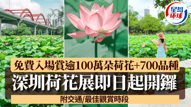 荷花展