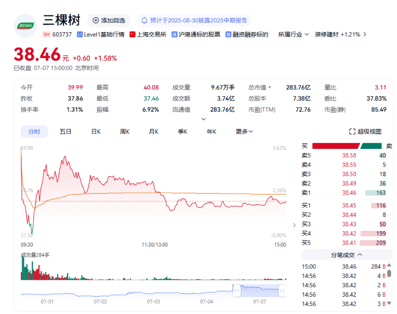 三棵树