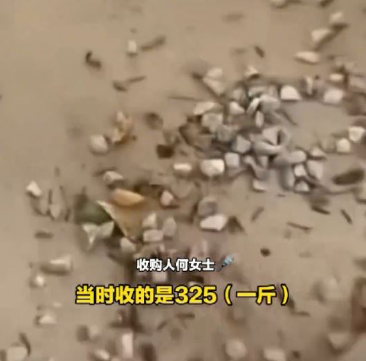 何女士声称向老人购入的蝉蜕，八成被塞入石粒骗秤。