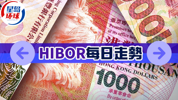 隔夜Hibor大跌24点子