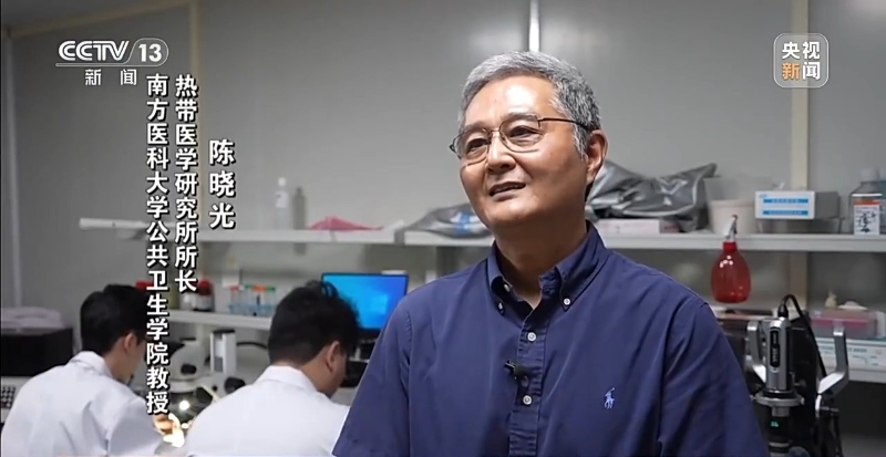 陈晓光