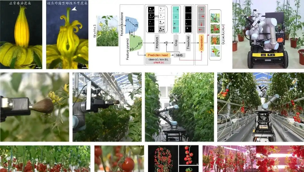 世界首个机器人育种家“吉儿”问世，可自动巡航杂交授粉，快速定制新品种