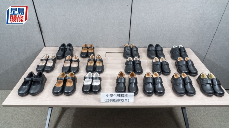 消委会 ‧ 小学生皮鞋测试｜测试28款皮鞋，2款含超标致癌物六价铬