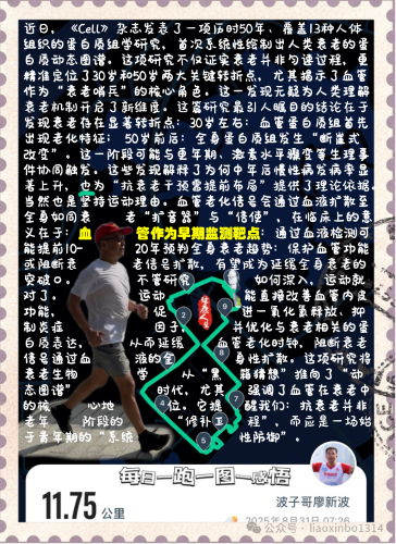 血管1 血管1