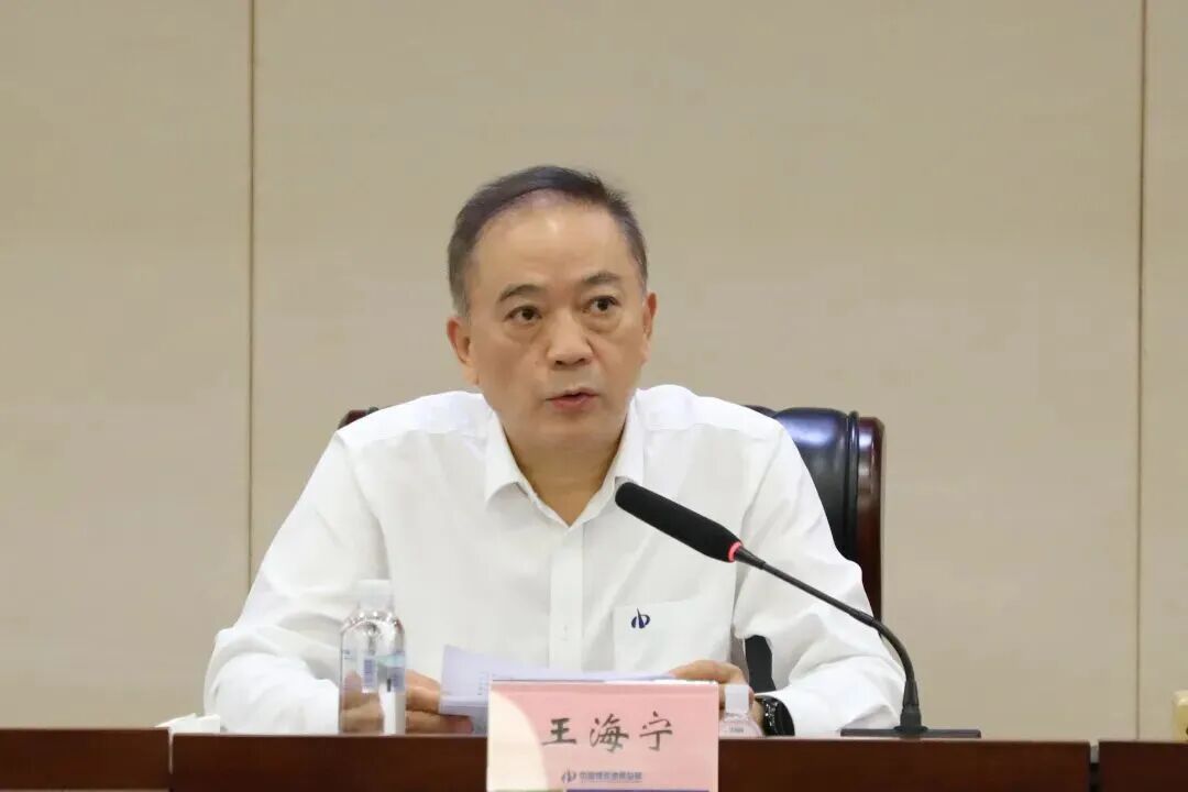 王海宁