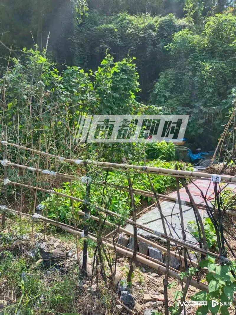 imagefile 图片