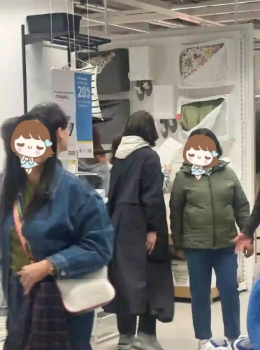 袁咏仪1