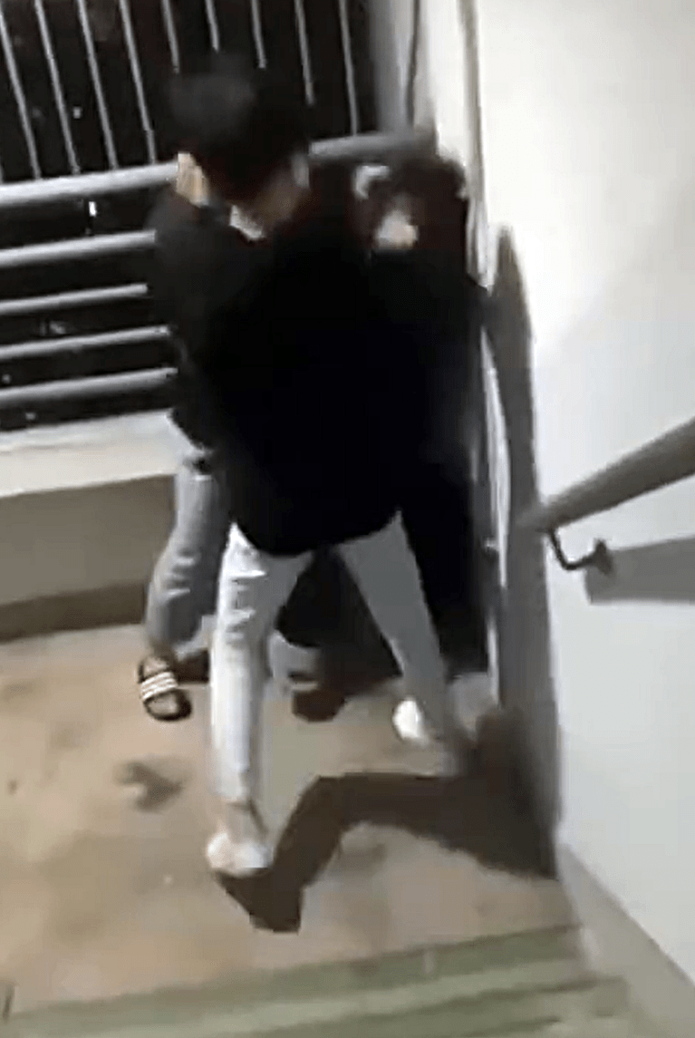 两男童疯狂袭击少女。