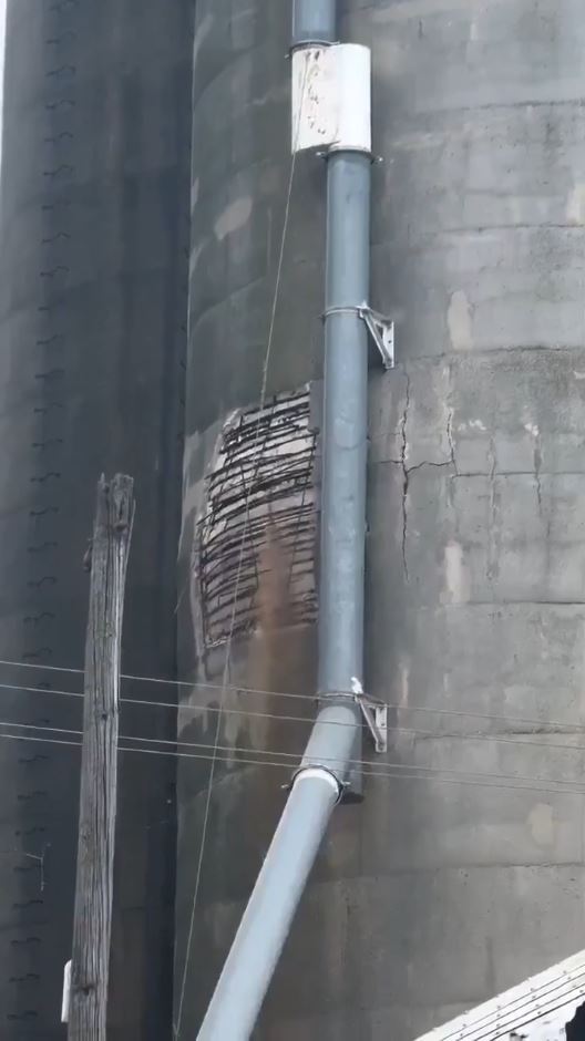 美国失去中国市场后，大豆滞销逼爆穀仓。