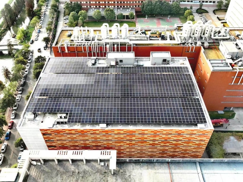 周生生3