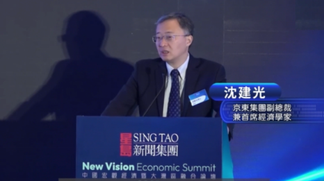 星岛中国宏观经济论坛2025，沈建光：京东正加大对香港投资
