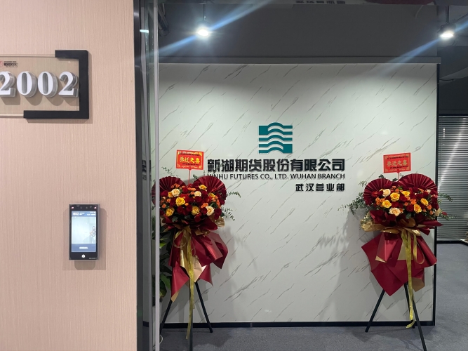 新湖期货陈清：期货行业赋能“十五五”开局新征程
