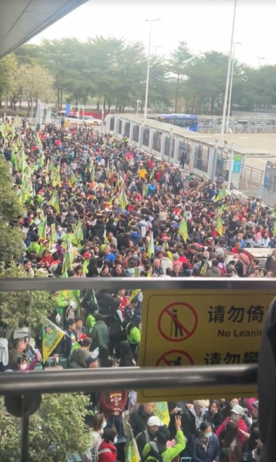 多名导游举起旅行团“旗仔”或标识，组织成员排队集合。