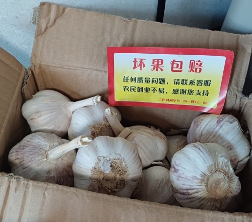 陈先生展示近日网购的山东大蒜，包装纸盒附有“坏果包赔”的字条。