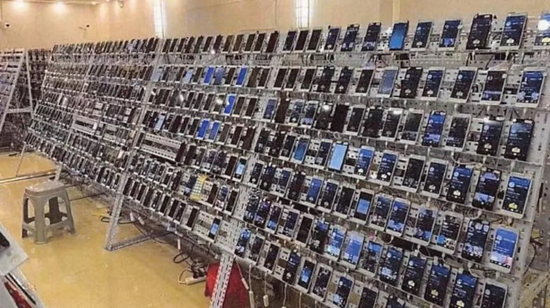用于电诈的“手机农场”。
