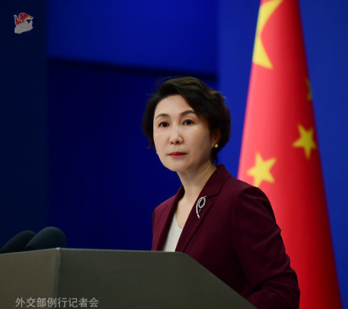 毛宁 毛宁