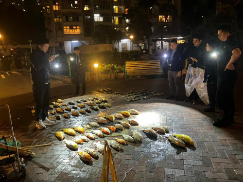 事件中，共有115条鱼证实死亡，另有81条鱼生还