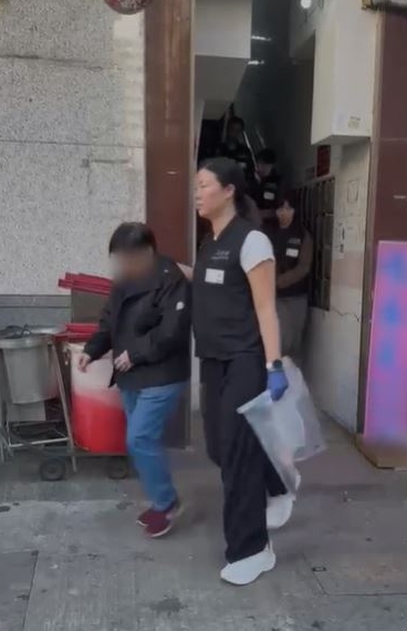 一条龙1-1