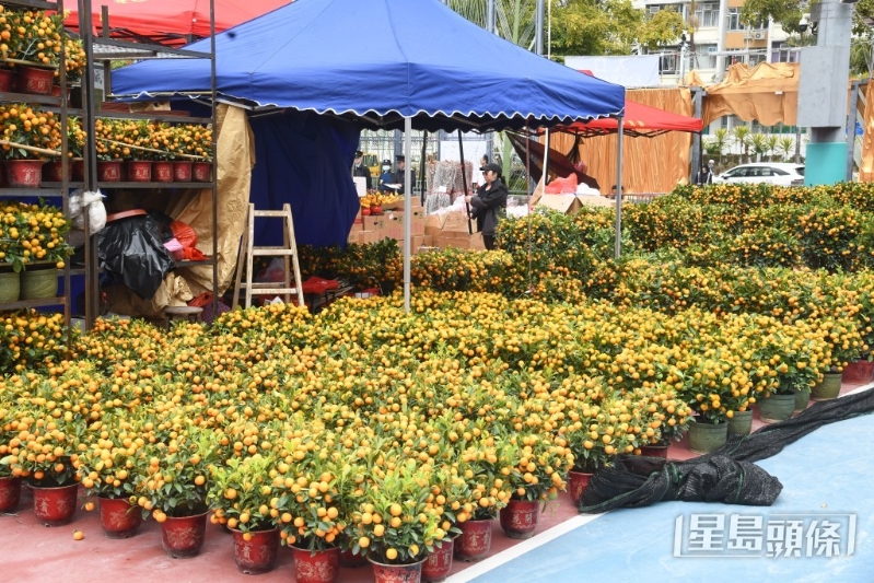 观塘游乐场年宵市场今年有50个湿货摊位。