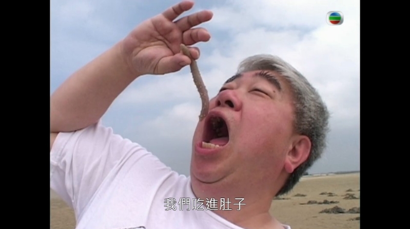 “韬韬”梁文韬极为食。 “韬韬”梁文韬极为食。