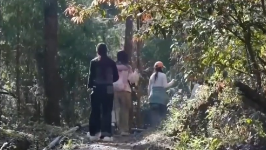 夏季蛇类活跃，遇到该怎么办？如果被咬伤要如何处理？